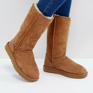 Tall Chestnut Uggs